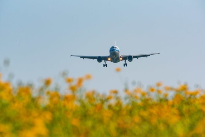 Commercial airplane above yellow flowers field, Chengdu, Sichuan province, China