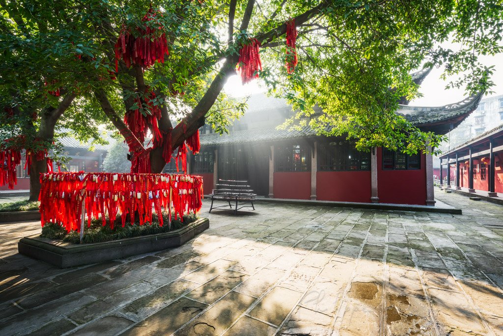Sunrays passsing through a wish tree in Randeng Naos buddhist Temple, Luodai in the East of Chengdu, China