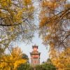 Chengdu, Sichuan province, China - Dec 6, 2016 : Sichuan Huaxi university campus clock tower in autumn with gingko yellow leaves in the trees