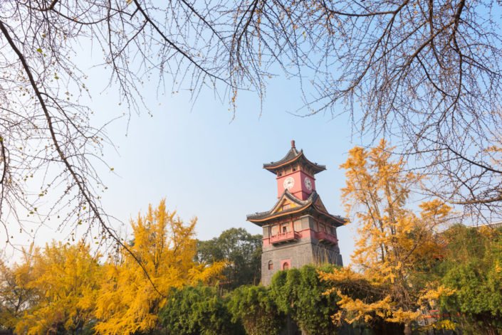 Chengdu, Sichuan province, China - Dec 6, 2016 : Sichuan Huaxi university campus clock tower in autumn with gingko yellow leaves in the trees