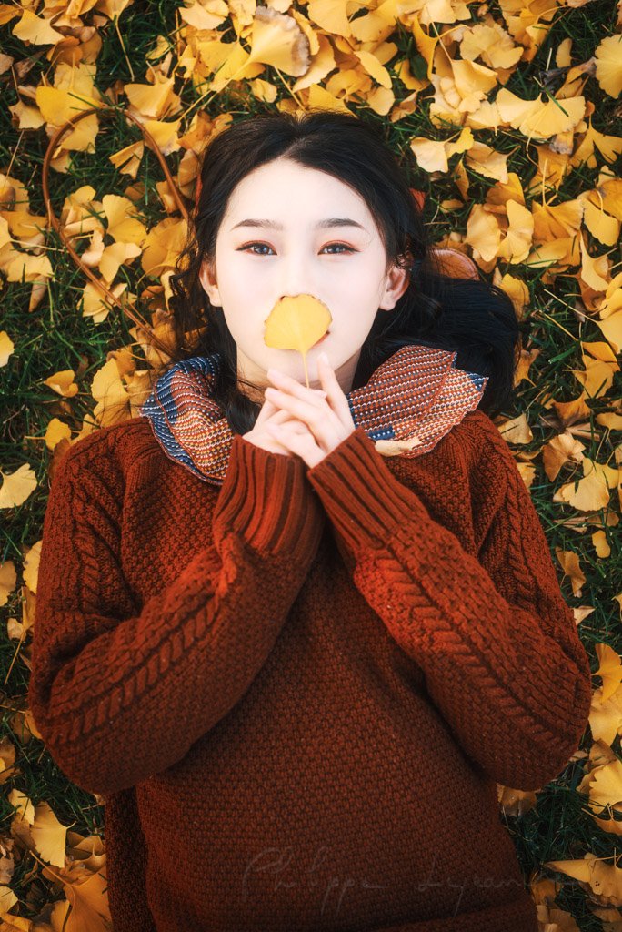 Young chinese woman wearing a red knit jumper lying on yellow gingko leaves in autumn in Chengdu, Sichuan province, China