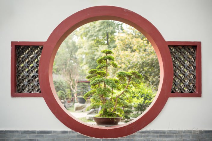Bonsai through a circular traditional chinese window in BaiHuaTan public park, Chengdu, Sichuan Province, China