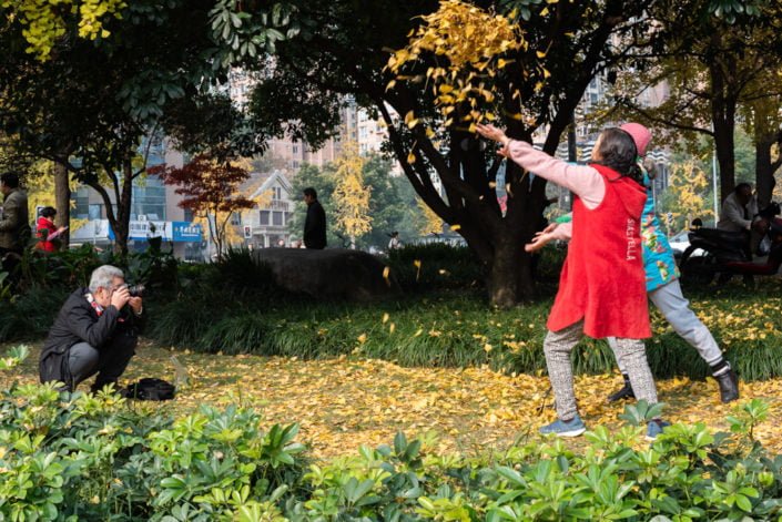 Senior man taking photos of two women throwing yellow ginkgo tree leaves by Jinjiang river in Jinli ZhongLu street in Autumn, Chengdu, Sichuan province, China