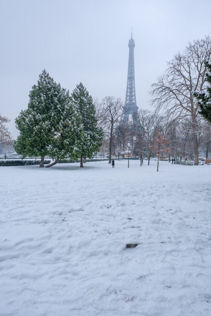 Eiffel tower under the snow behind trees from the Trocadero gardens in winter in Paris, France