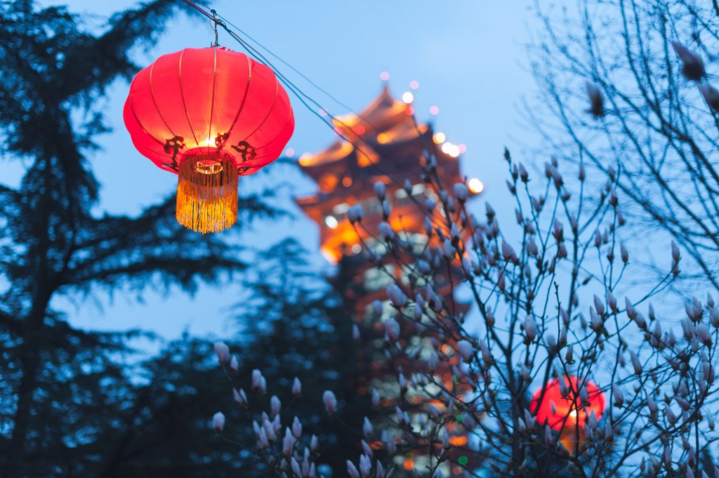 Red chinese lantern hanging in a tree with a pagoda and sky in the background, Chengdu, Sichuan Province, China