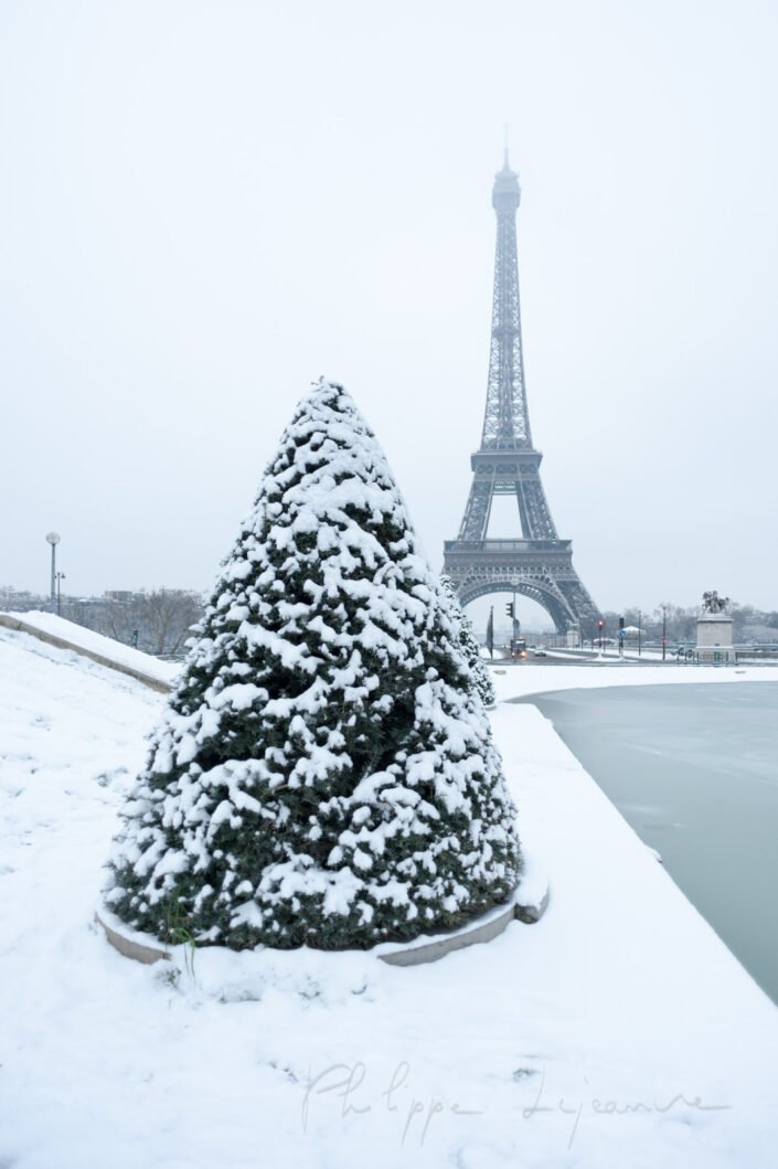 Eiffel tower and pine tree under the snow in winter in Paris, France
