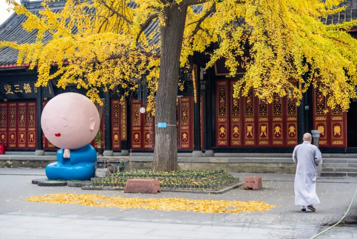 Manga monk statue and monk in DaCi buddhist temple with yellow leaves in Ginkgo trees in autumn., Chengdu, Sichuan province, China