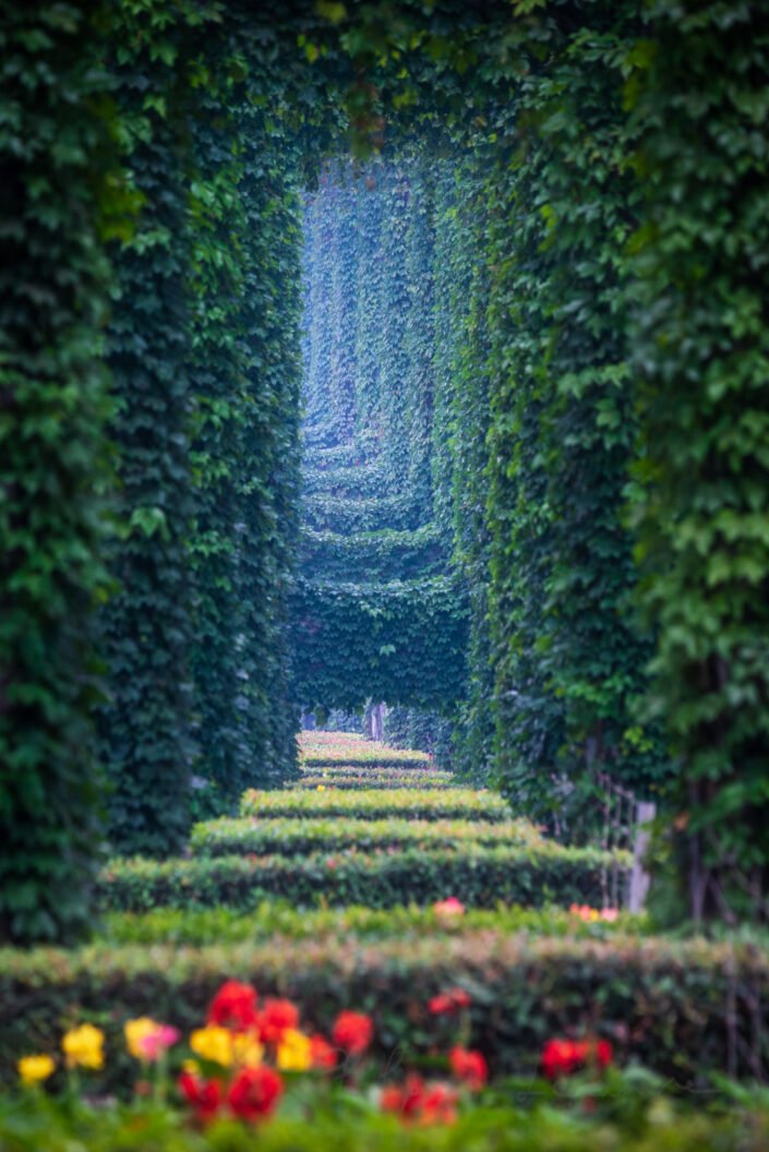 Elevated roads pillars covered by ivy in the city, Chengdu 2nd ring, Sichuan province, China