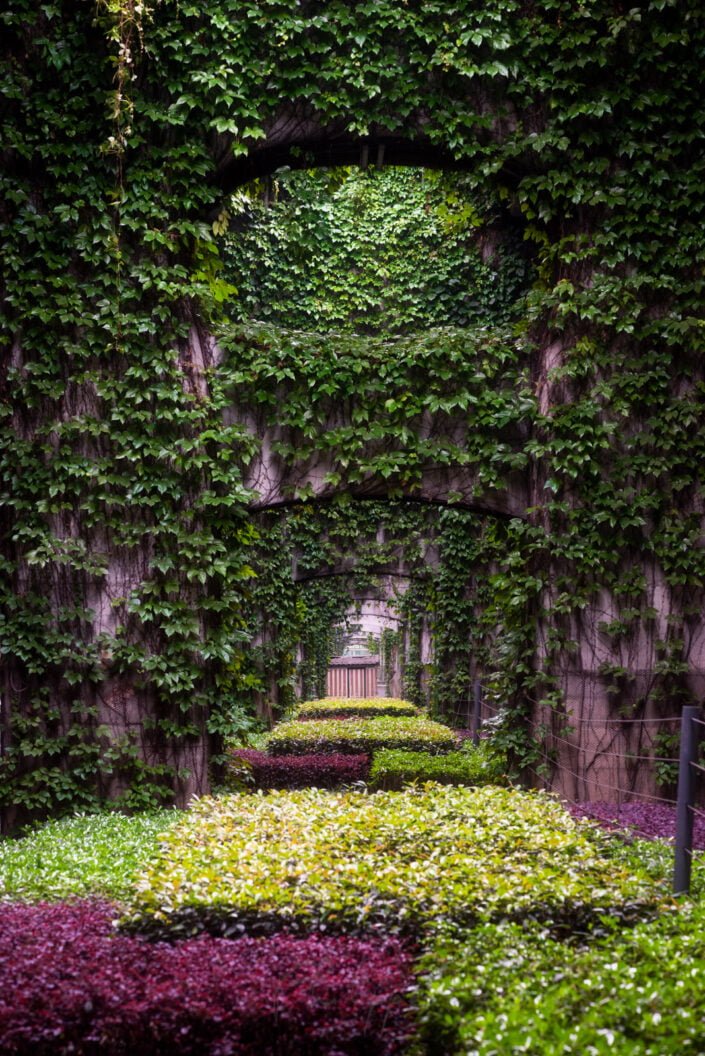 Elevated roads pillars covered by ivy in the city, Chengdu 2nd ring, Sichuan province, China