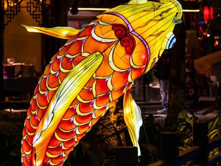 Fish lantern illuminated at night for the year of the dragon in Chengdu, Sichuan province, China